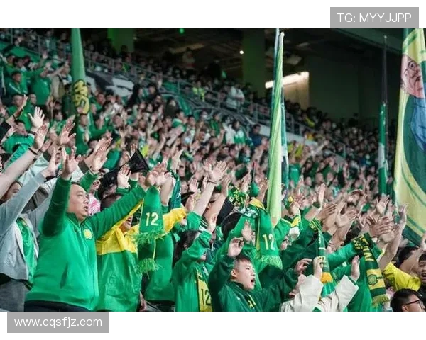 足球赛事中的球迷文化与观赛体验