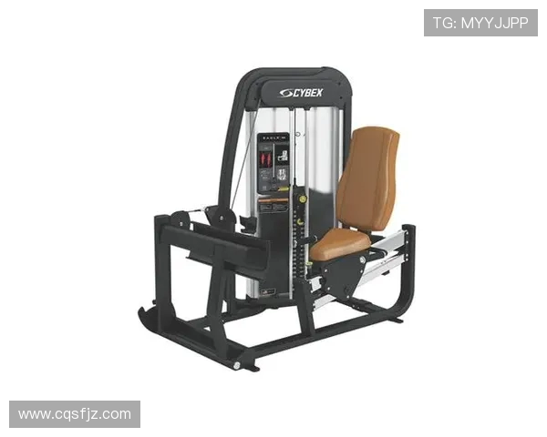 跑步类健身器材推荐及品牌排行