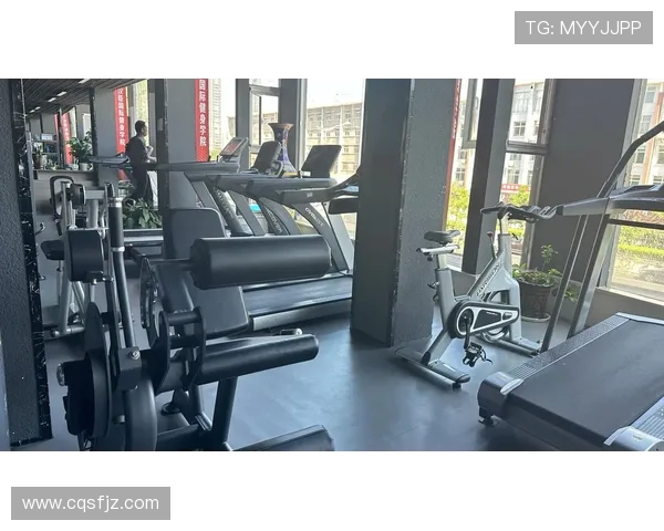 高端商用健身器材整体解决方案助力健康产业发展